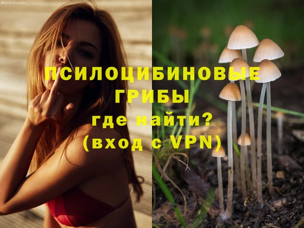 героин Алзамай