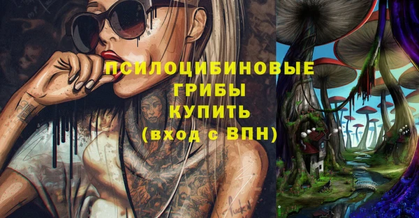 марки lsd Абаза